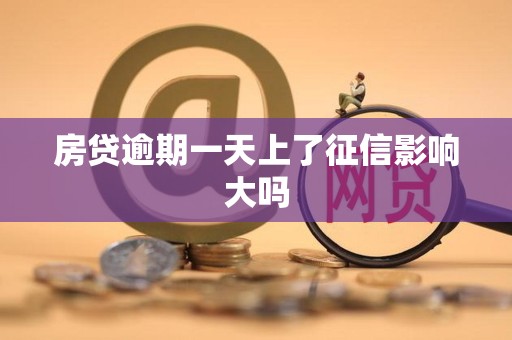房贷逾期一天上了征信影响大吗