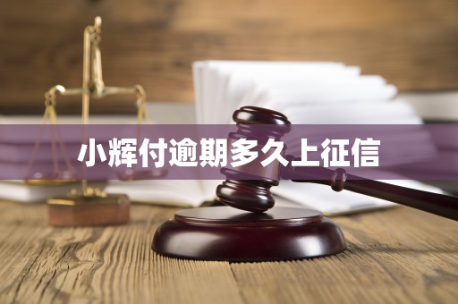 小辉付逾期多久上征信 小辉付逾期多久上征信