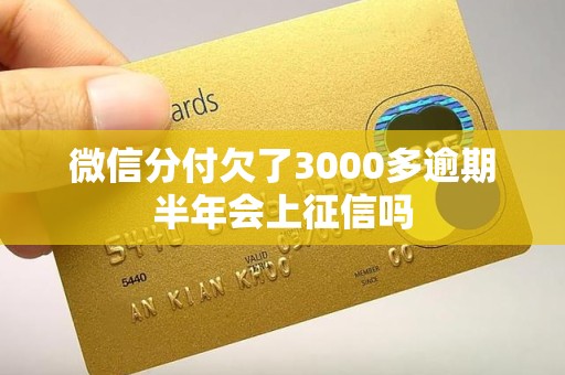 微信分付欠了3000多逾期半年会上征信吗 微信分付欠了3000多逾期半年会上征信吗