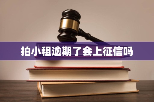 拍小租逾期了会上征信吗