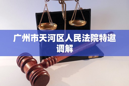 广州市天河区人民法院特邀调解 广州市天河区人民法院特邀调解