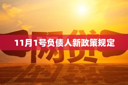 11月1号负债人新政策规定