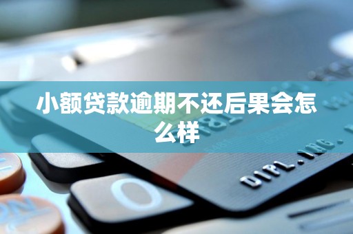 小额贷款逾期不还后果会怎么样