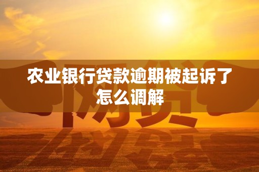 农业银行贷款逾期被起诉了怎么调解