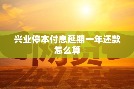 兴业停本付息延期一年还款怎么算