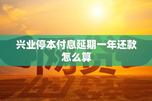 兴业停本付息延期一年还款怎么算