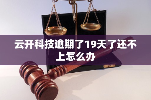 云开科技逾期了19天了还不上怎么办