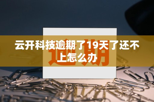 云开科技逾期了19天了还不上怎么办