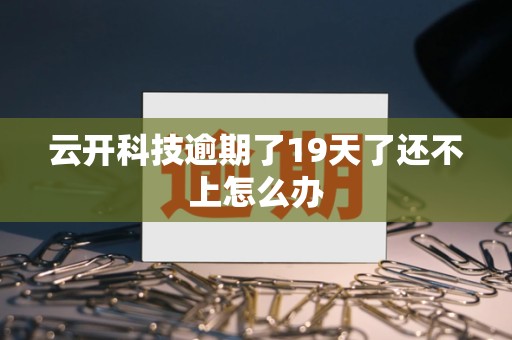 云开科技逾期了19天了还不上怎么办