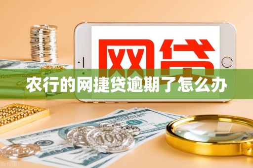 农行的网捷贷逾期了怎么办 农行的网捷贷逾期了怎么办