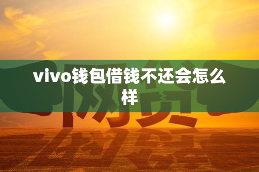 vivo钱包借钱不还会怎么样