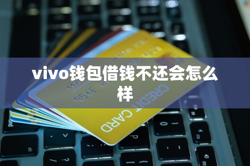 vivo钱包借钱不还会怎么样