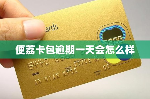 便荔卡包逾期一天会怎么样 便荔卡包逾期一天会怎么样