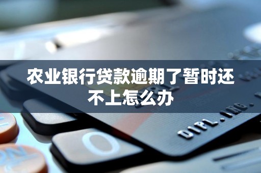 农业银行贷款逾期了暂时还不上怎么办 农业银行贷款逾期了暂时还不上怎么办