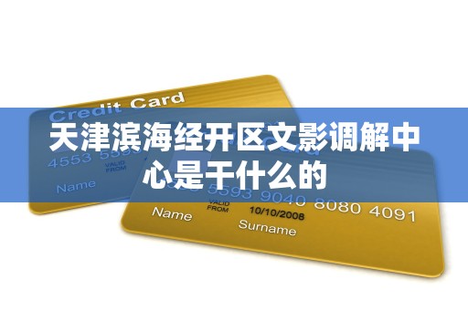 天津滨海经开区文影调解中心是干什么的