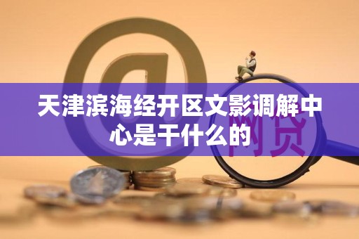 天津滨海经开区文影调解中心是干什么的