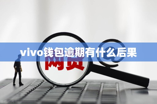 vivo钱包逾期有什么后果 vivo钱包逾期有什么后果