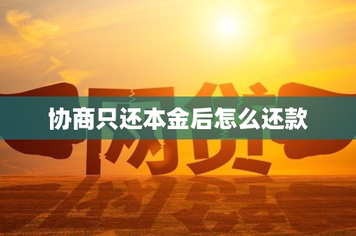 协商只还本金后怎么还款