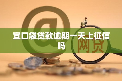 宜口袋贷款逾期一天上征信吗 宜口袋贷款逾期一天上征信吗