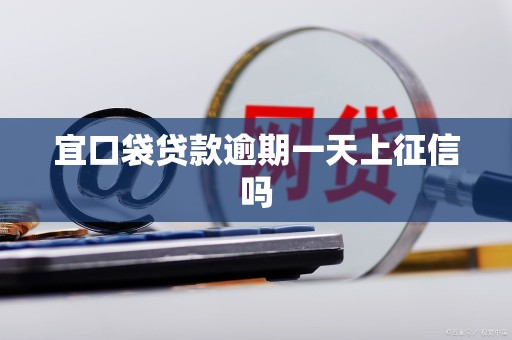 宜口袋贷款逾期一天上征信吗 宜口袋贷款逾期一天上征信吗