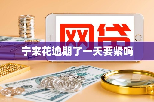 宁来花逾期了一天要紧吗