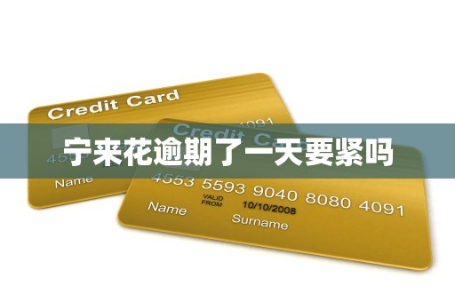宁来花逾期了一天要紧吗