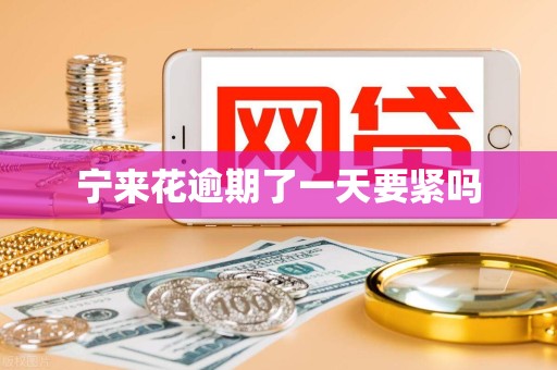 宁来花逾期了一天要紧吗