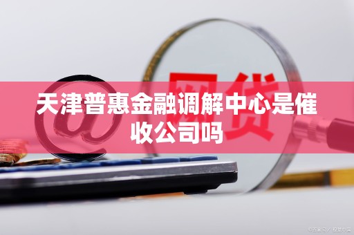 天津普惠金融调解中心是催收公司吗 天津普惠金融调解中心是催收公司吗