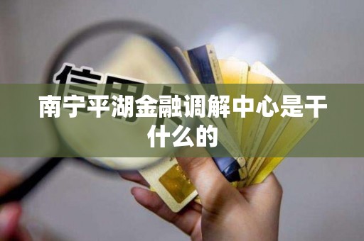 南宁平湖金融调解中心是干什么的