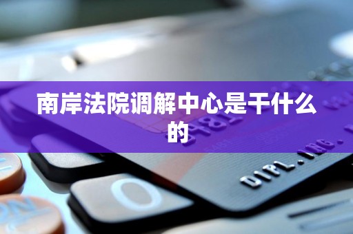 南岸法院调解中心是干什么的 南岸法院调解中心是干什么的