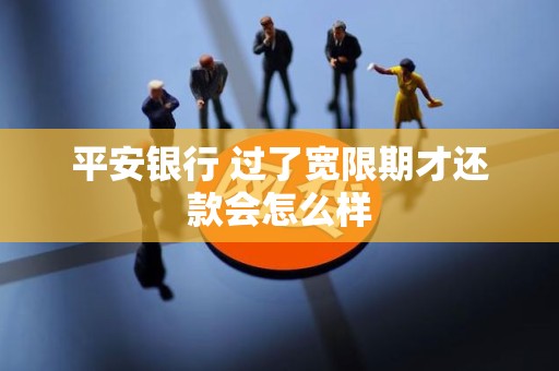 平安银行 过了宽限期才还款会怎么样