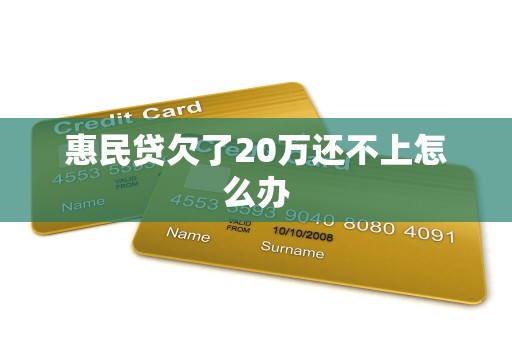 惠民贷欠了20万还不上怎么办 惠民贷欠了20万还不上怎么办