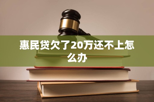 惠民贷欠了20万还不上怎么办 惠民贷欠了20万还不上怎么办