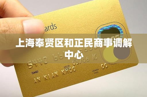 上海奉贤区和正民商事调解中心 上海奉贤区和正民商事调解中心