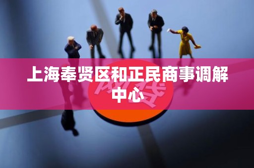 上海奉贤区和正民商事调解中心 上海奉贤区和正民商事调解中心