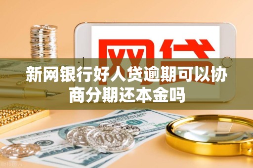 新网银行好人贷逾期可以协商分期还本金吗 新网银行好人贷逾期可以协商分期还本金吗