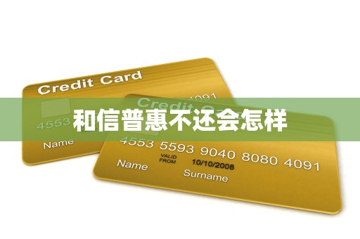 和信普惠不还会怎样
