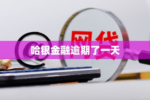 哈银金融逾期了一天 哈银金融逾期了一天