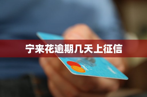 宁来花逾期几天上征信