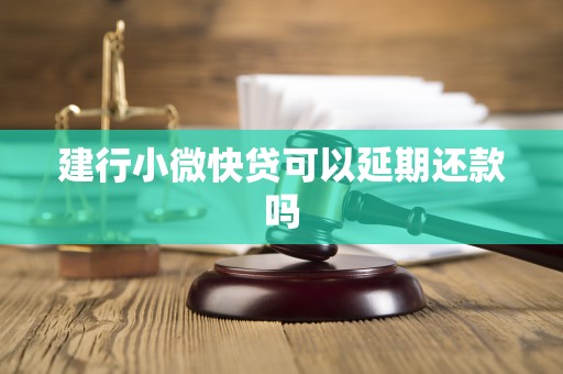 建行小微快贷可以延期还款吗