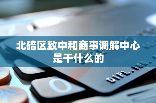 北碚区致中和商事调解中心是干什么的 北碚区致中和商事调解中心是干什么的
