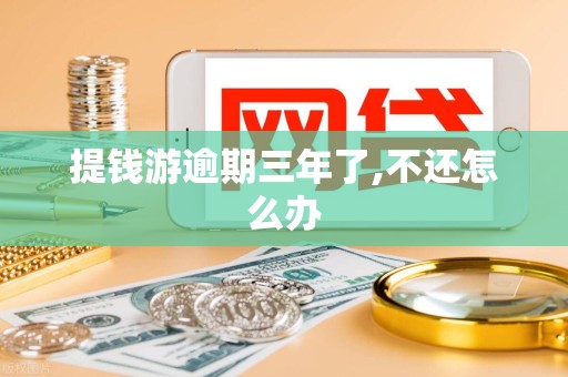 提钱游逾期三年了,不还怎么办