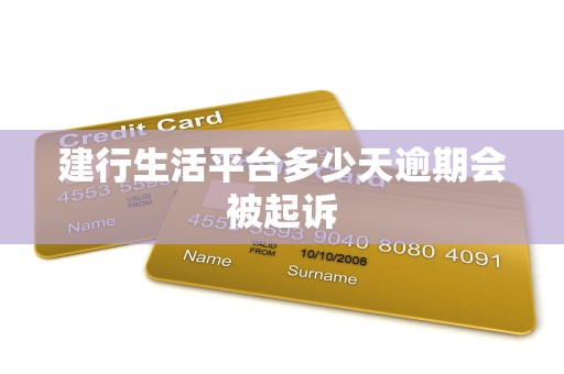 建行生活平台多少天逾期会被起诉