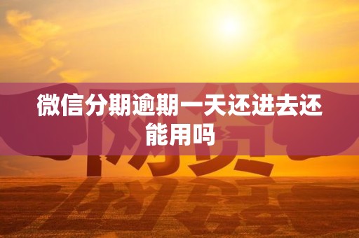 微信分期逾期一天还进去还能用吗