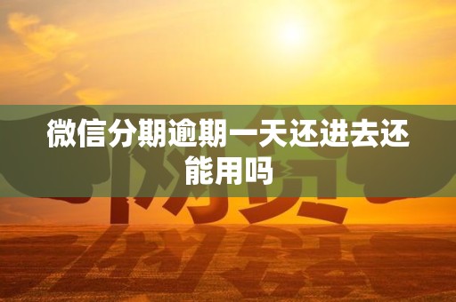 微信分期逾期一天还进去还能用吗