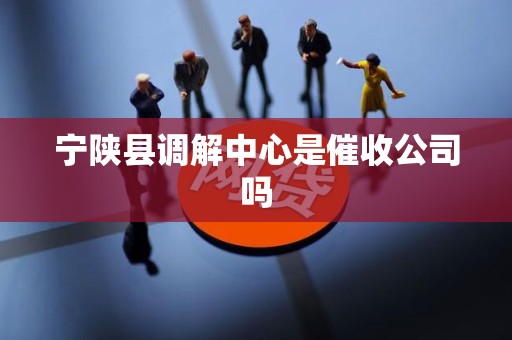 宁陕县调解中心是催收公司吗 宁陕县调解中心是催收公司吗