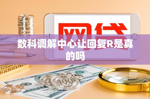 数科调解中心让回复R是真的吗