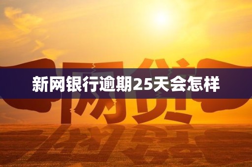 新网银行逾期25天会怎样 新网银行逾期25天会怎样
