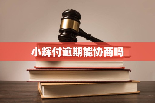 小辉付逾期能协商吗 小辉付逾期能协商吗