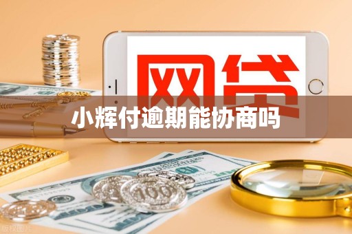 小辉付逾期能协商吗 小辉付逾期能协商吗